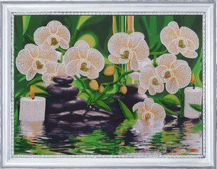 Bead Embroidery Kit Butterfly 166White Orchids 26 х 35 см